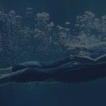 course_sports_portfolio_header