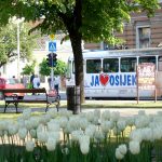 blusch-osijek-667212