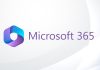 MS Office licenca